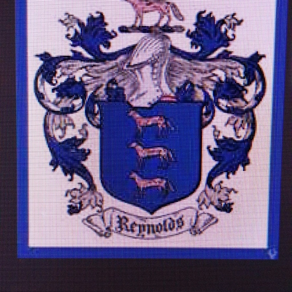 Meet your Posher, Amelia